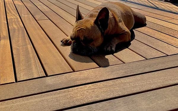 Hardwood Decking with QuickClip Hidden Fasteners and ExoShield Wood Stain