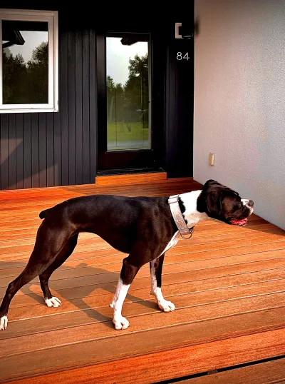 dogs love batu decks and rainscreen 1