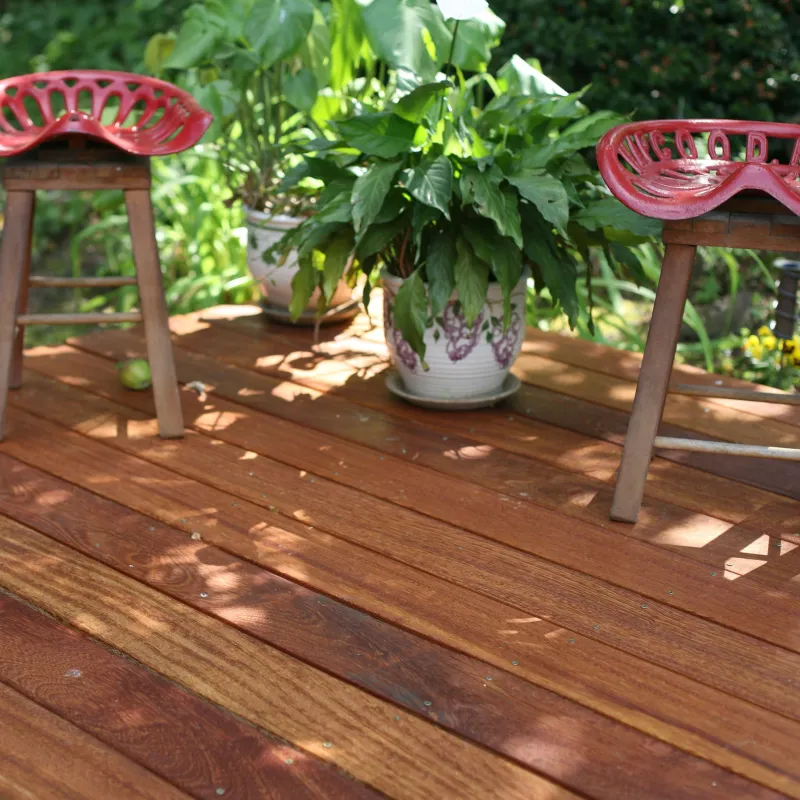 Angelim Pedra Hardwood Close Up