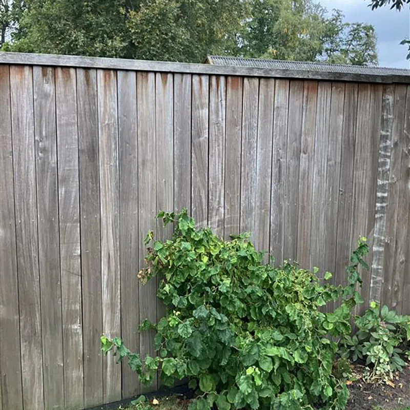 Doju Fence