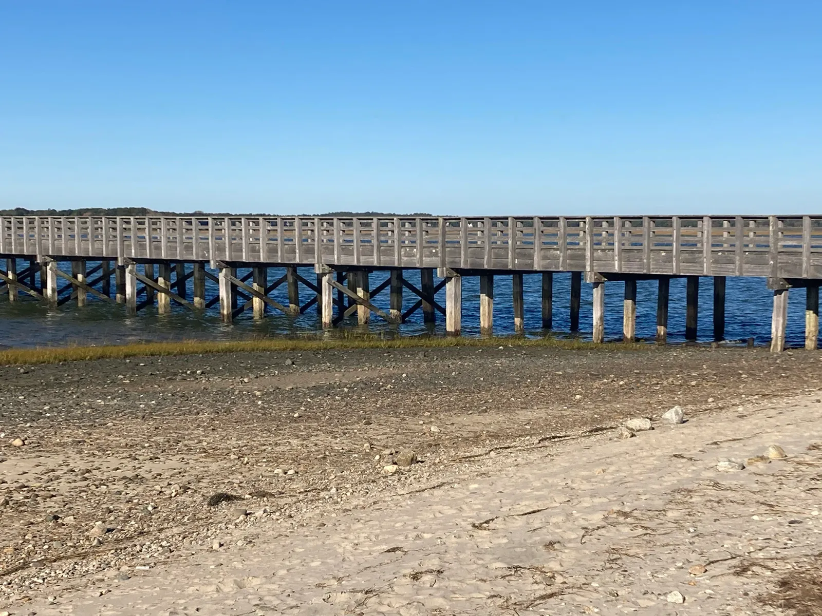 Marine Lumber & Timbers